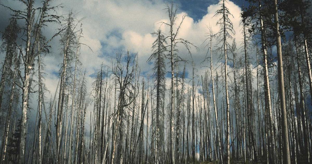 Online Color Picker Tool 2025 Free HEX RGB HSL Color Picker 